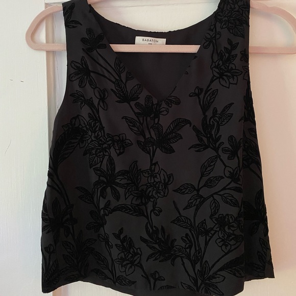 Babaton Tops - 2/$30 Aritzia Babaton Murphy top